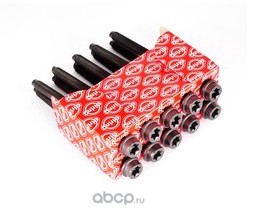 Болт ГБЦ к-кт 10шт. Ford Fiesta/Focus 1.25-1.6 16V/Zetec 96> ERLING 087830