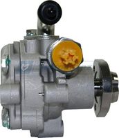 Насос ГУР VW Crafter 2.5 06-12 MOTORHERZ P1039HG