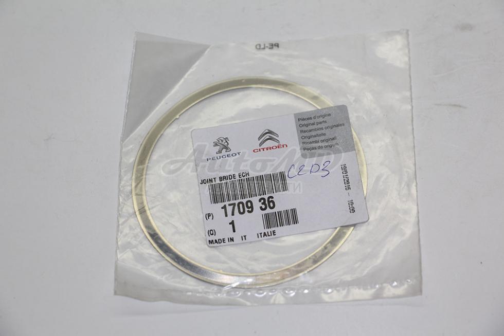 Прокладка (кольцо) катализатора-турбина E4 Boxer 3/Jumper 3/Ducato(250) 2,2  CITROEN/PEUGEOT 170936