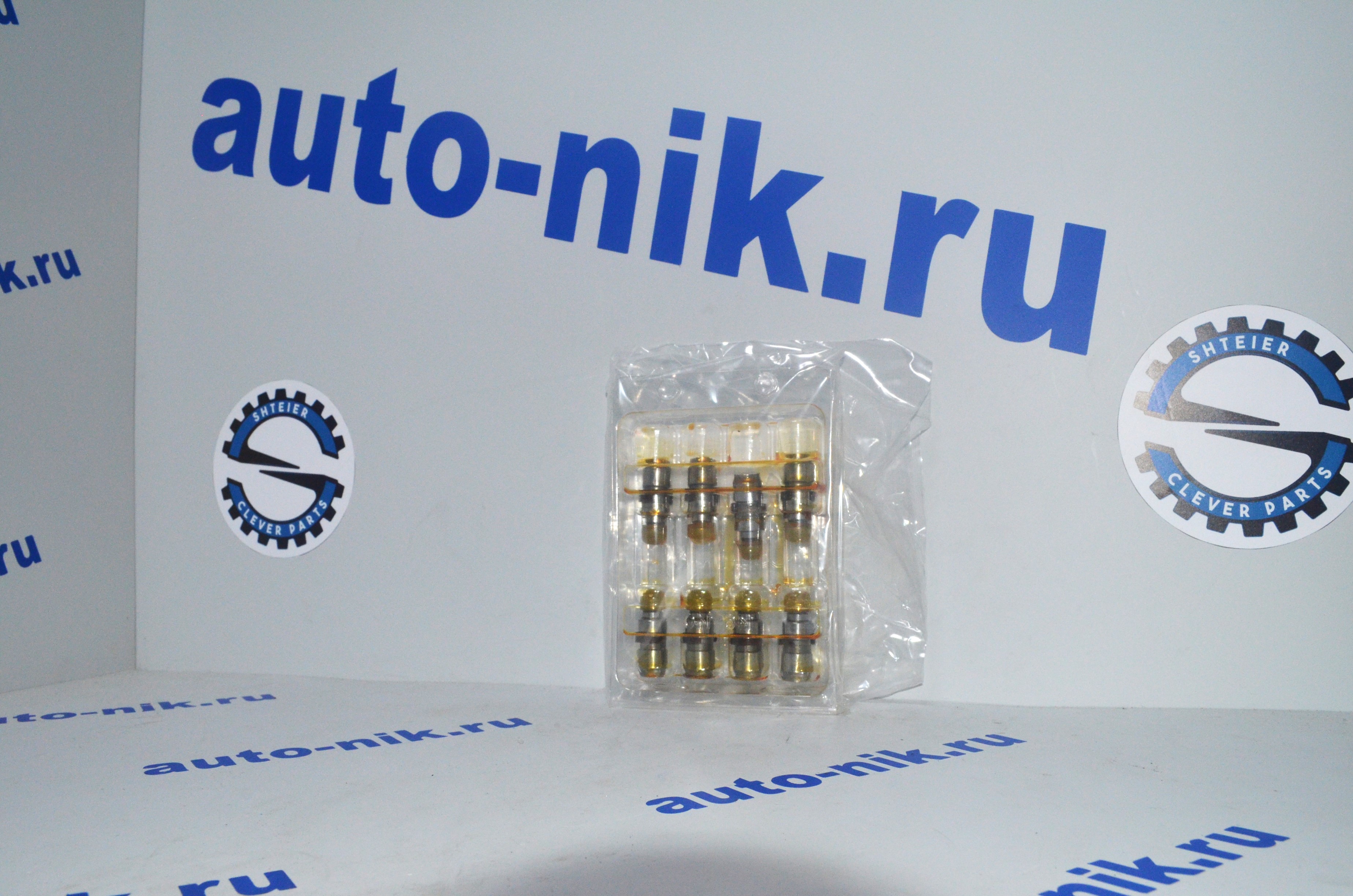Гидрокомпенсатор VW Crafter 30-35  2.0TDI с 06- INA 420022210