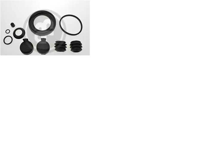 Ремкомлект тормозного суппорта d52 (задний мост) Transit 2.3 16V AUTOFREN SEINSA D42814