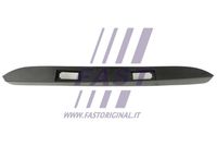 Молдинг фонарей подсветки номерного знака Mercedes Sprinter  07-14 FAST FT90850