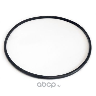 Кольцо уплотнительное топливного насоса Boxer/Ducato/Jumper 250  06-> AUTO-GUR RR532