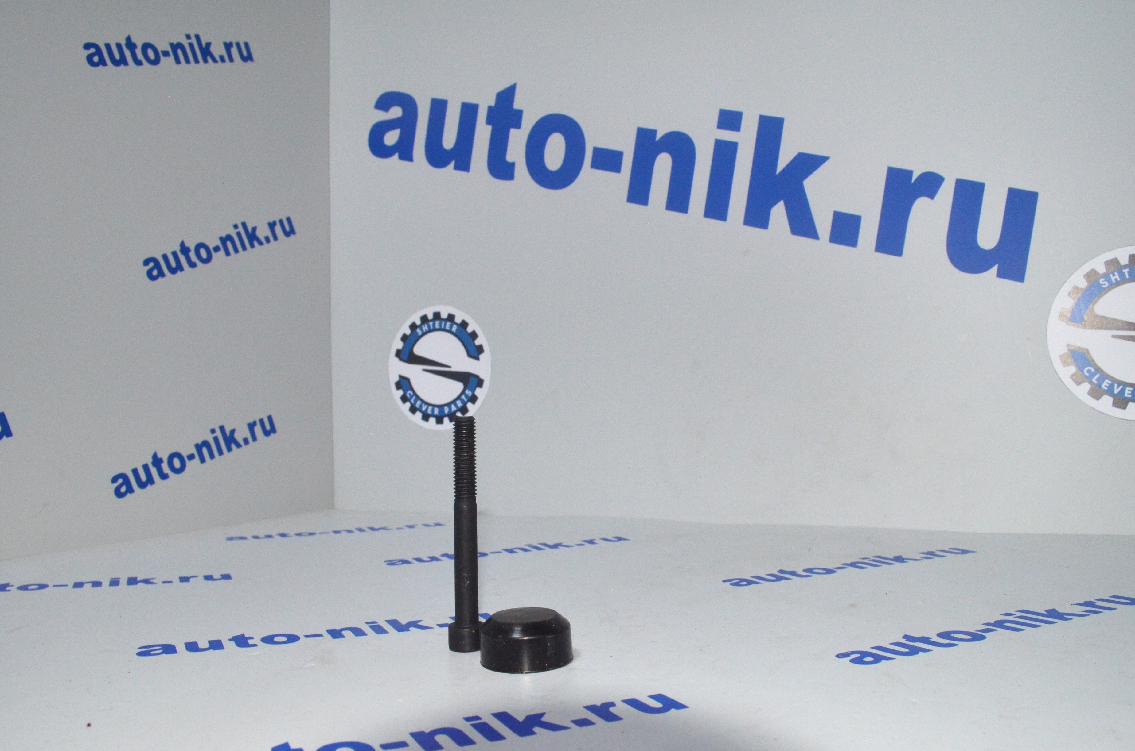 Болты/заглушки направляющих суппорта MB 515/VW перед/Ford 140-155л зад/244-250-290 SHTEIER SHT 041-03-103