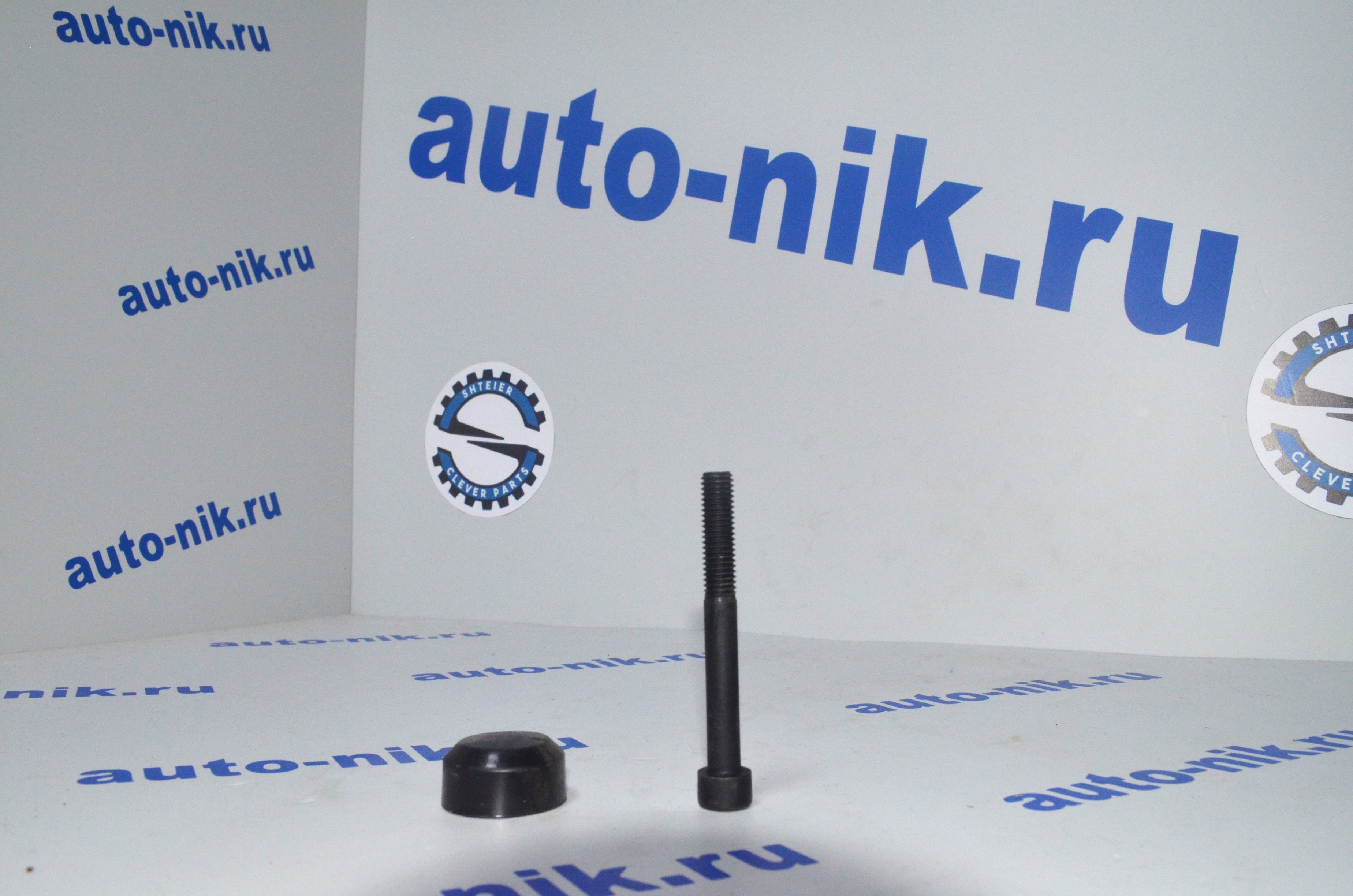 Болты/заглушки направляющих суппорта MB 515/VW перед/Ford 140-155л зад/244-250-290 SHTEIER SHT 041-04-102