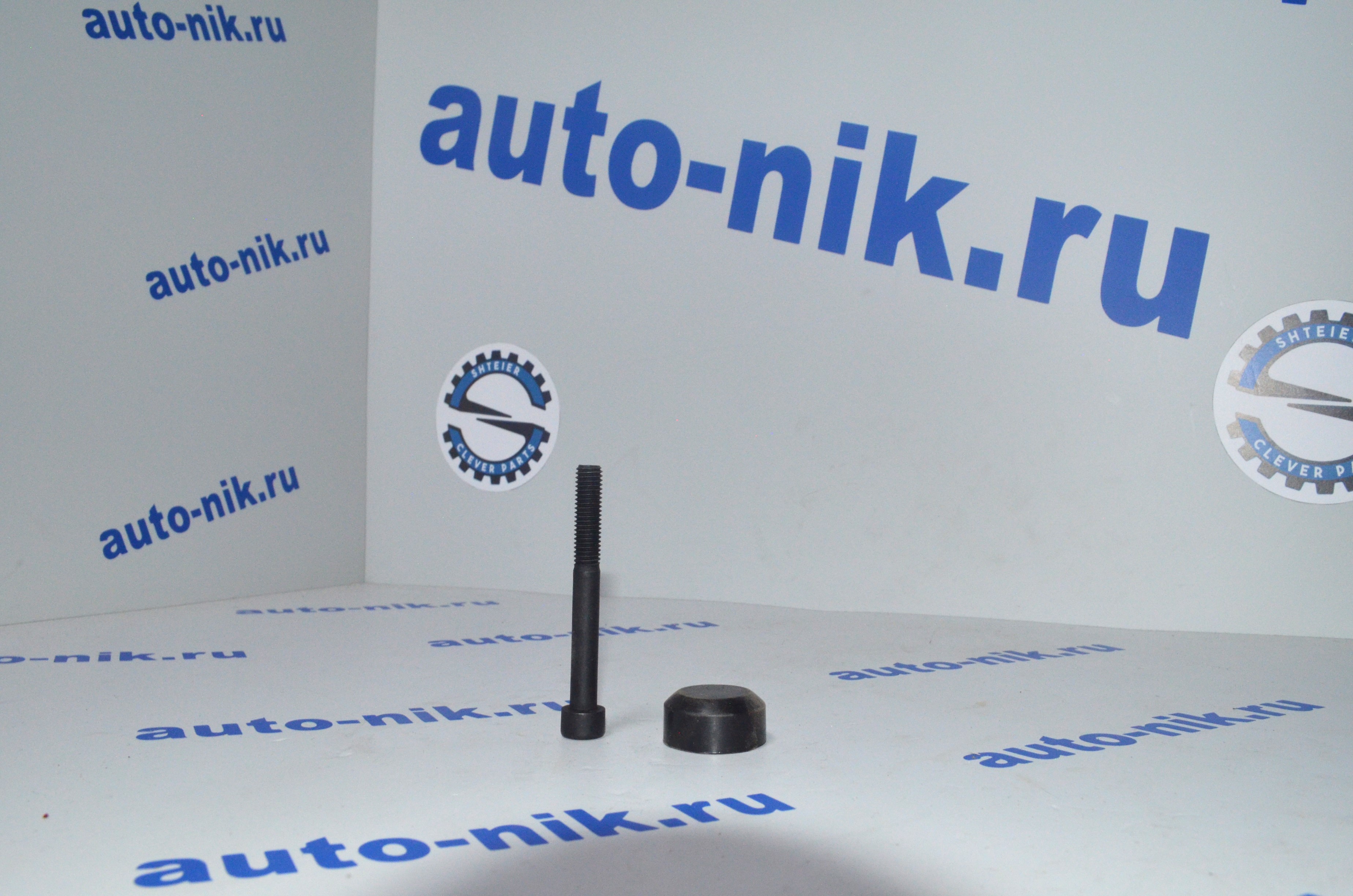 Болты/заглушки направляющих суппорта MB 515/VW перед/Ford 140-155л зад/244-250-290 SHTEIER SHT 041-04-105